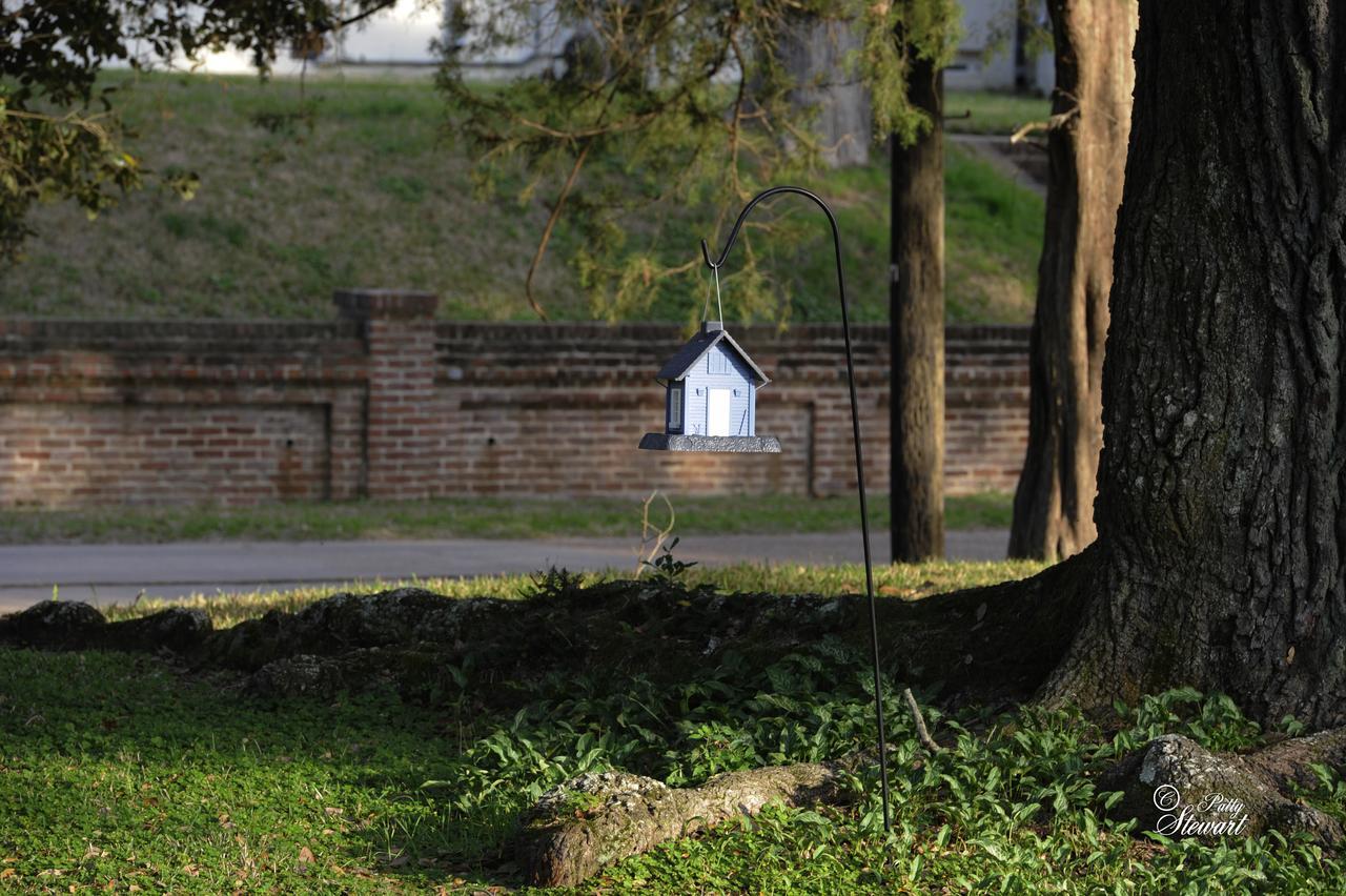 Clermont Bluffs Bed & Breakfast Natchez Exterior foto