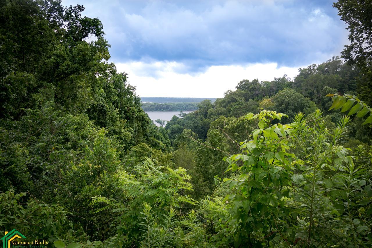 Clermont Bluffs Bed & Breakfast Natchez Exterior foto